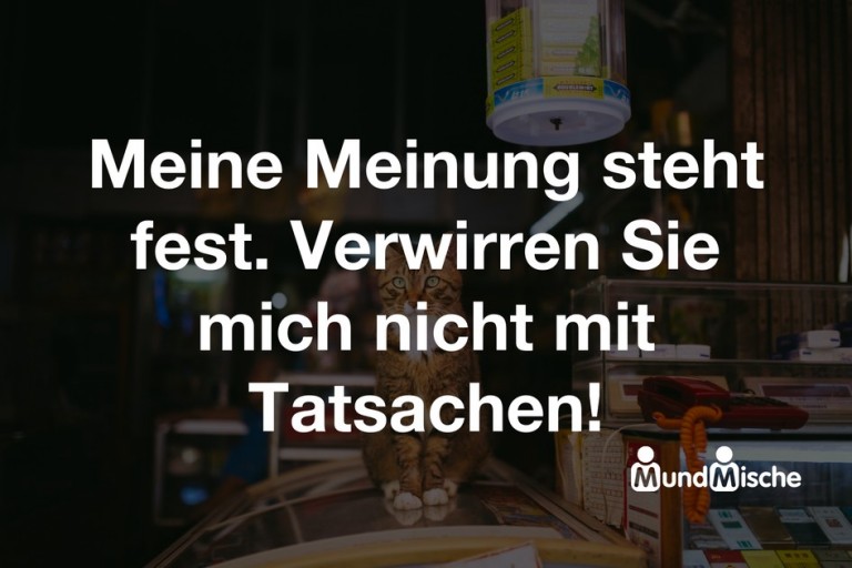 19569-Meine_Meinung_steht_fest_Verwirren_Sie_mich_nicht_mit_Tatsachen.jpg