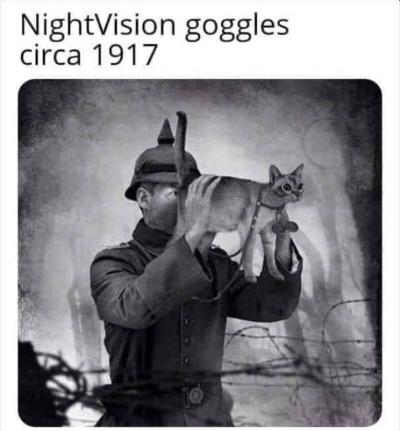 nightvision1917.jpg