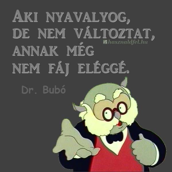 Dr Bubó.jpg