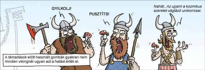 Gombász vikingek.jpg